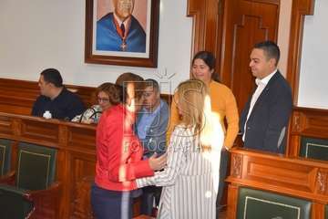 Pleno ordinario de enero de 2020 (Foto TA)